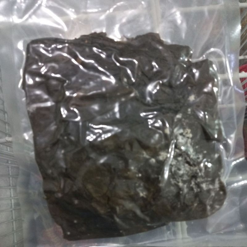 

versi hemat !!! Kombu Konbu 50 gr Dashima Kelp Rumput Laut Kaldu Dry Seaweed Dashi