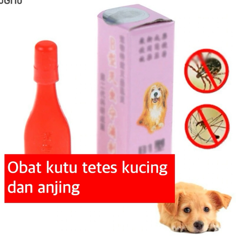 obat kutu kucing anjing tetes obat kutu tetes kucing bisa cod