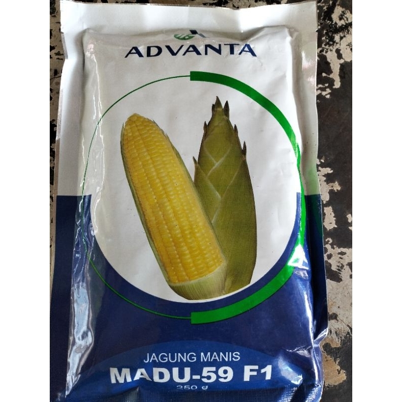 

Benih Jagung Manis Advanta Madu 59 F1