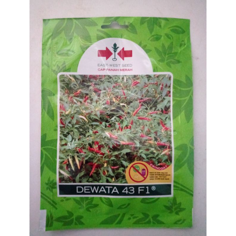 BENIH CABE RAWIT DEWATA 43 F1 cap panah merah