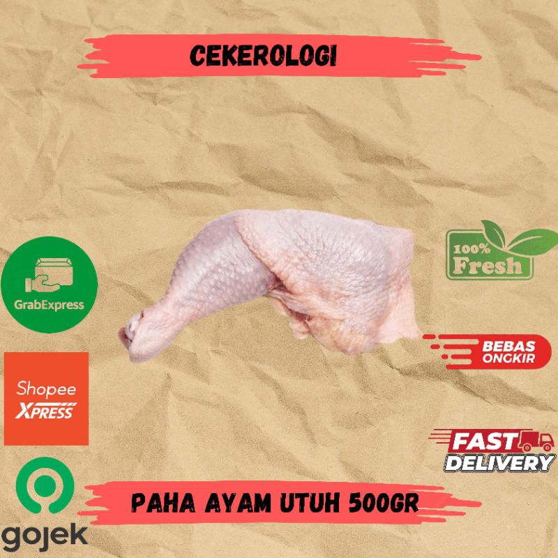 

Paha Ayam Utuh 500gr / Paha Ayam Utuh / Paha Ayam Utuh Fresh Berkualitas / JABODETABEK / Paha Ayam / Daging Ayam / Ayam