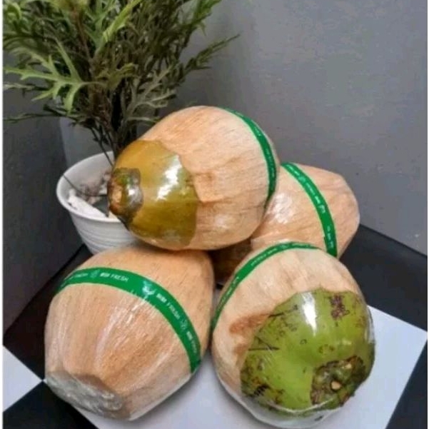 

kelapa kopyor kecil .size 36-37