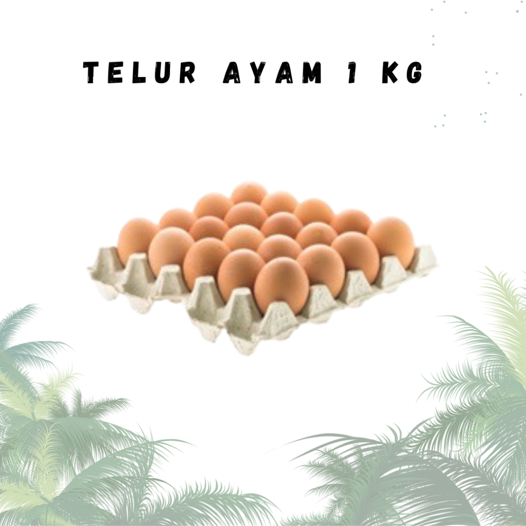 

Telur Ayam (1kg) Termurah Grosir (Khusus INSTAN /GRAB INSTAN / GOSEND