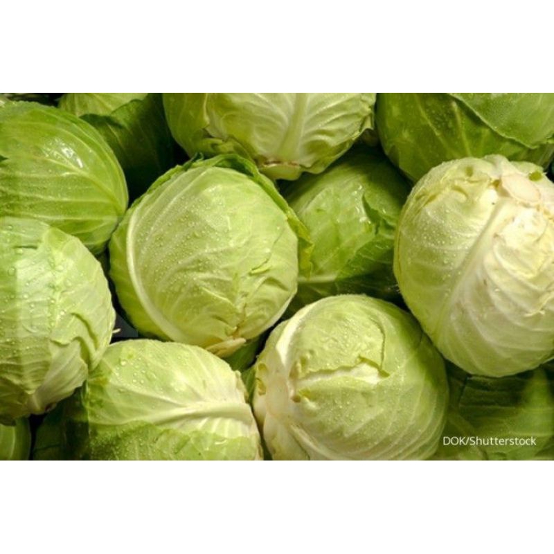 

kubis, kol 1kg