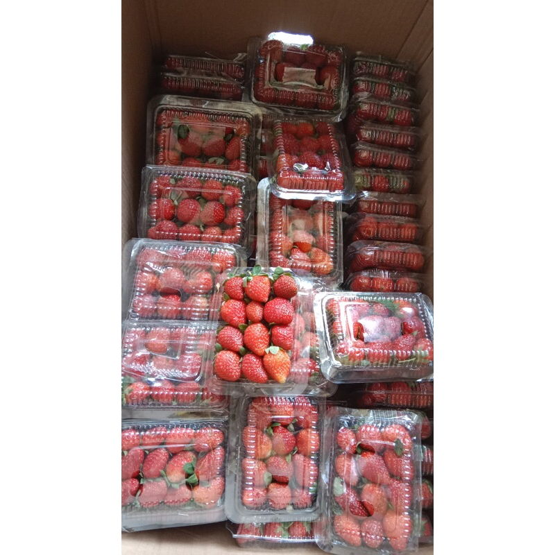 

stroberry/Dea