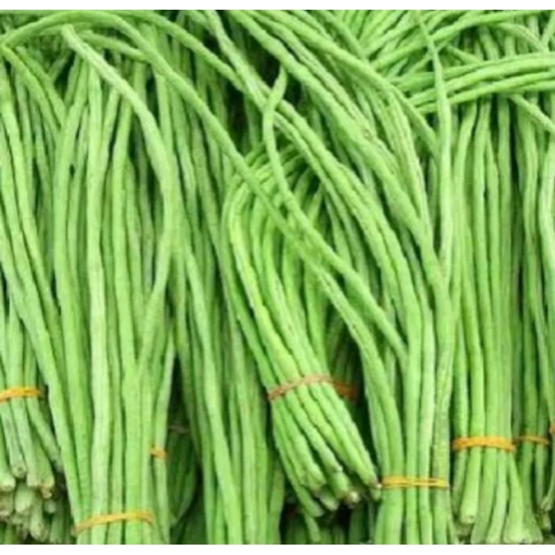 

Kacang panjang segar 200gr