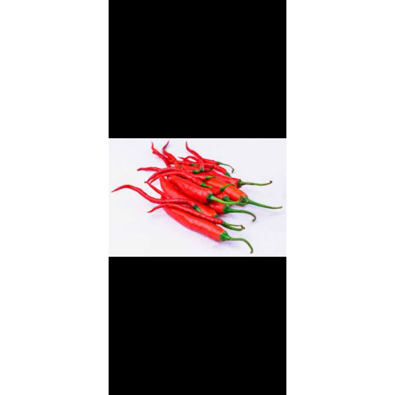 

cabai pedas