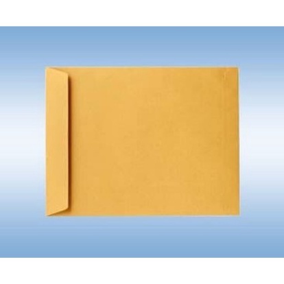 

Ready Terlaris AMPLOP GAJI AMPLOP COKLAT KABINET KYT