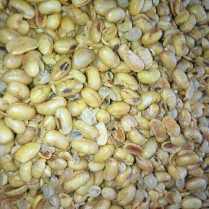 

KACANG KEDELAI 1 KG KUALITAS PREMIUM