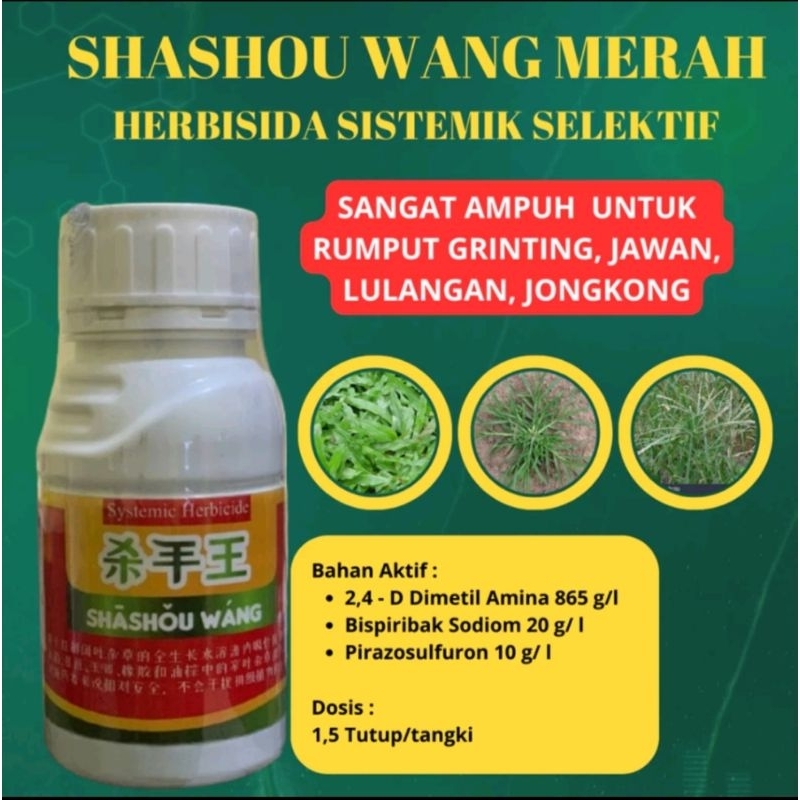 Shashouwang Merah Herbisida Sistemik Selektif Khusus Rumput Jawan | Lulangan | Grinting | Jongkong |