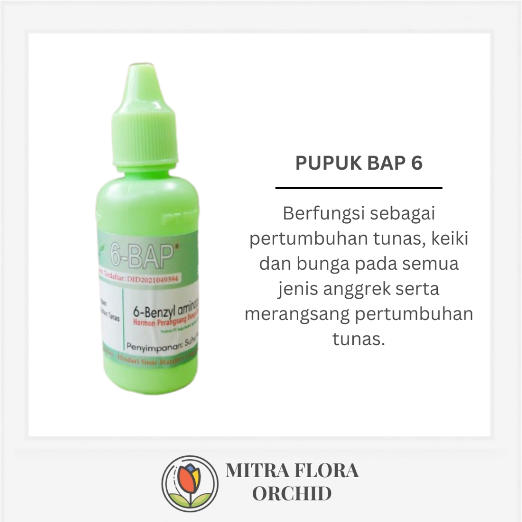 Pupuk BAP6 30ml