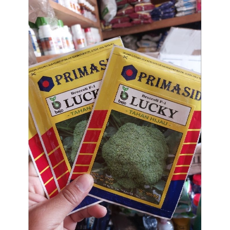benih brokoli Lucky Bejo F1 Primasid isi 5000 biji