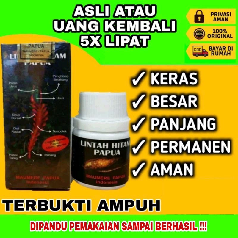 Pembesar Pennis Obat Pembesar Kelamin Pria Minyak Lintah Papua Asli 100 Original Pembesarpenis Pembe