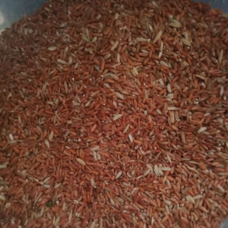 BERAS MERAH PAKAN TERNAK Ayam Burung BERAS MERAH