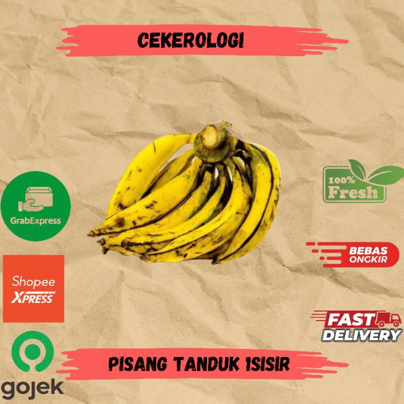 

Pisang Tanduk 1sisir / Pisang Tanduk / Pisang / Pisang Tanduk Fresh Berkualitas / JABODETABEK / Pisang / Buah Pisang / Buah / Buah Buahan