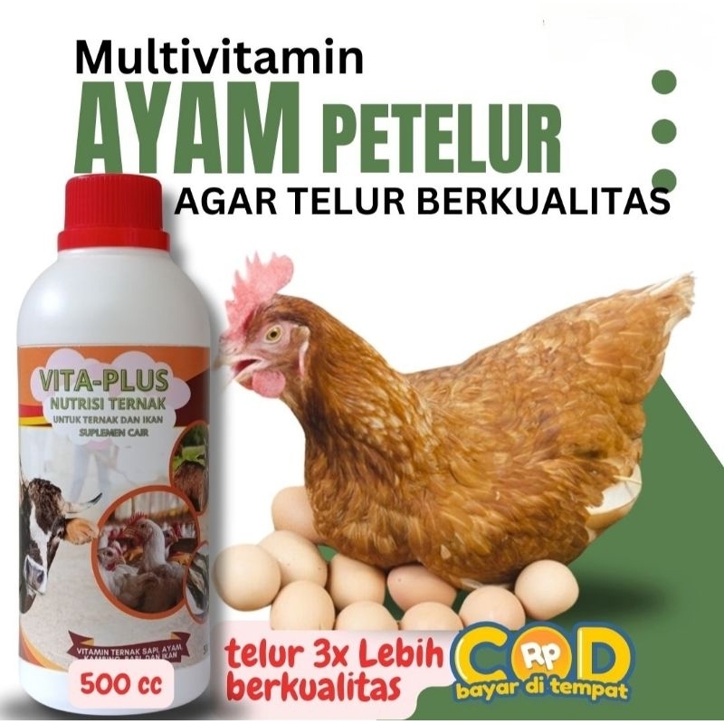 Egg Stimulant Ayam Petelur, | vita plus Vitamin Ayam Petelur| Obat Ayam Petelur Menambah Nafsu Makan