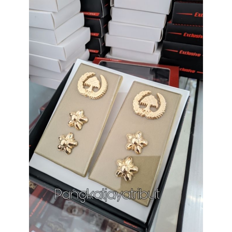 PANGKAT PDH ASN LAMPUNG GOLONGAN 4B ASN LAMPUNG