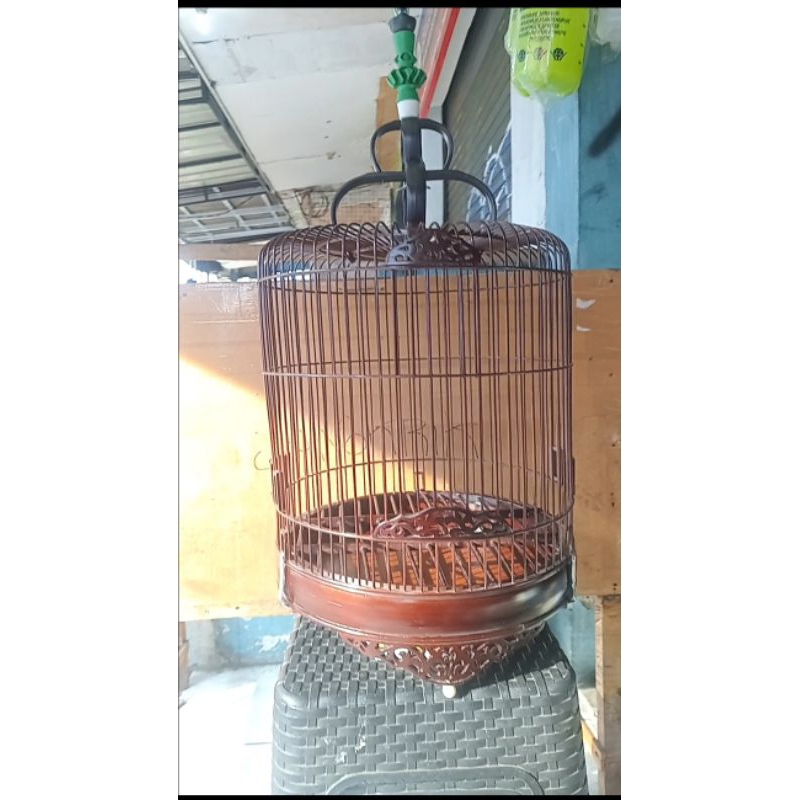 Sangkar Cungkok Bulat