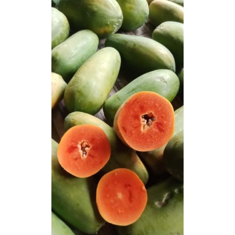 

PEPAYA CALIFORNIA | 1BUAH | Pusate Buah
