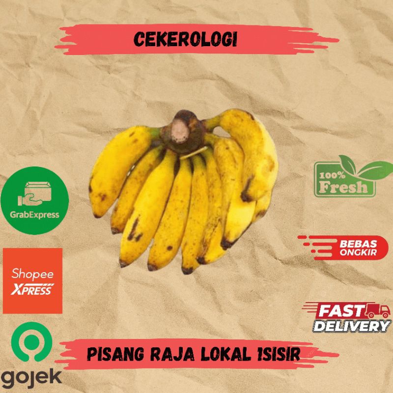 

Pisang Raja Lokal 1sisir / Pisang Raja Lokal / Pisang Raja / Pisang Raja Fresh Berkualitas / JABODETABEK / Pisang / Buah / Buah Buahan