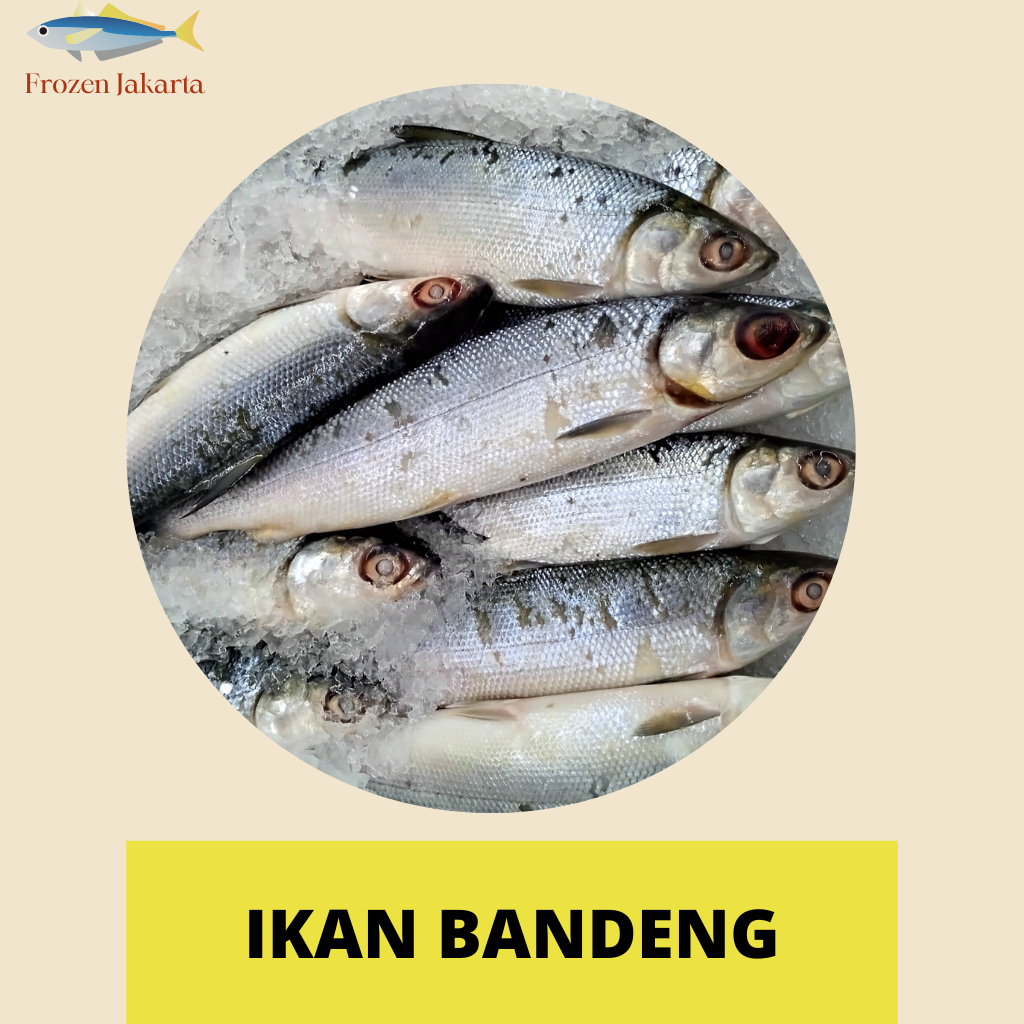 

IKAN BANDENG UTUH 1KG FROZEN JAKARTA FRESH