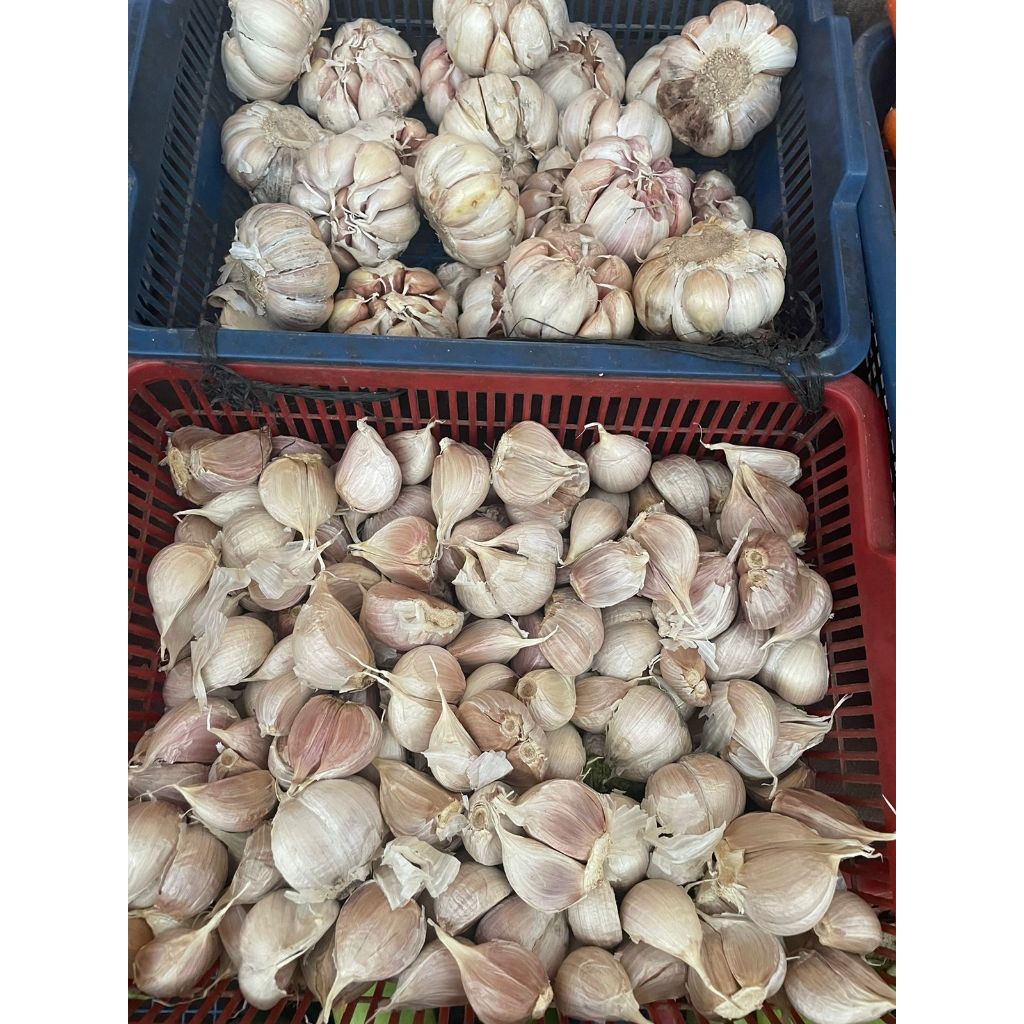 

BAWANG PUTIH 100 GRAM