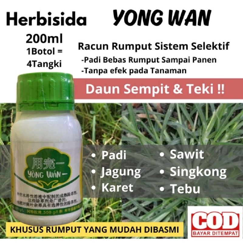 YONGWAN Racun Rumput Sistemix Selektif Aman Untuk Padi, Jagung, Karet
