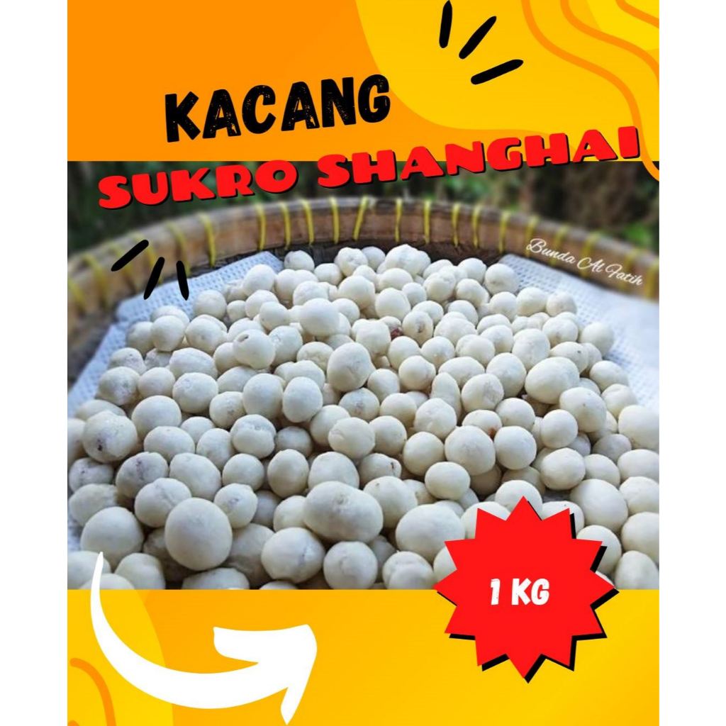 

KILOAN KACANG ATOM SUPER SUKRO PUTIH TERMURAH