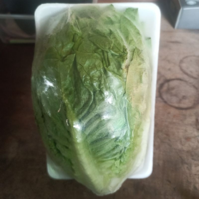 

Selada Romaine Fresh