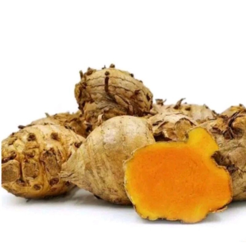 

temulawak segar 500gram