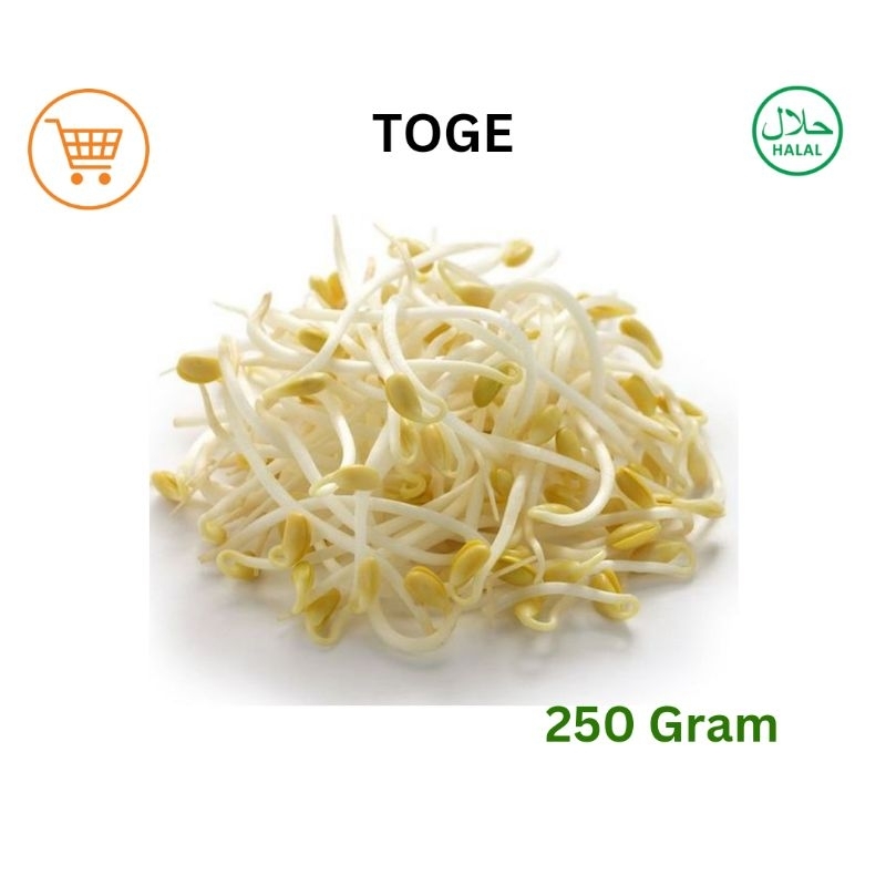 

Sayur Toge 250 Gram | Fresh Vegetables