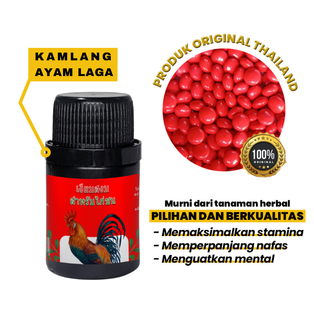 Kamlang Ayam Laga Original Thailand Jamu Herbal Tradisional - Bintang Pusaka