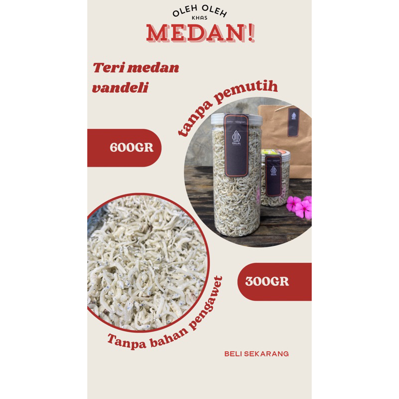 

IKAN TERI MEDAN || OLEH OLEH KHAS MEDAN || 300gr - 600gr || TANPA BAHAN PENGAWET