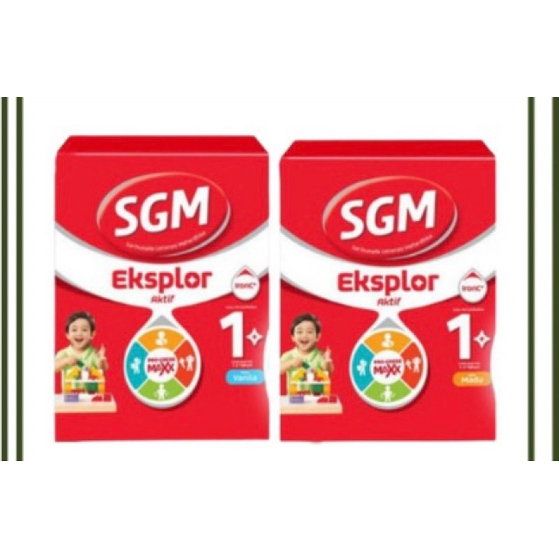 sgm1+eksplore900 sgm 1 plus