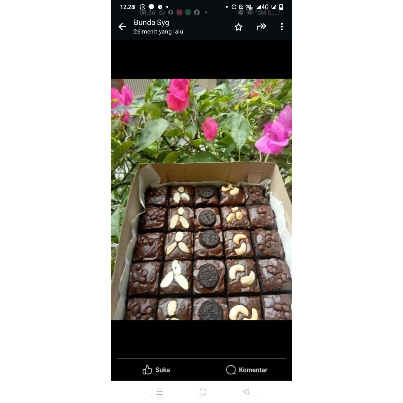 

Brownis
