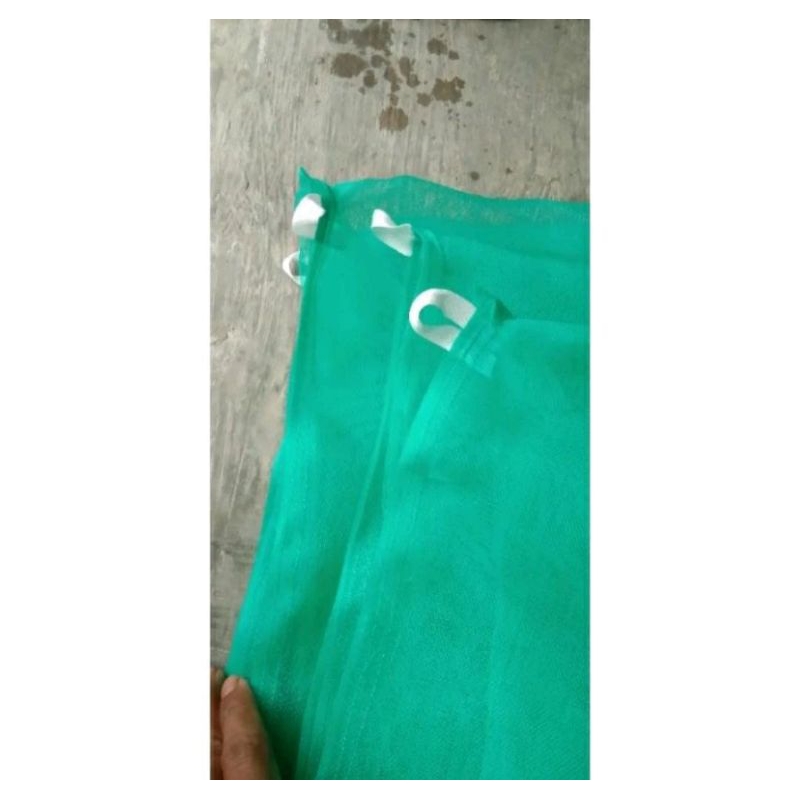 kandang lalat bsf 2x2x2