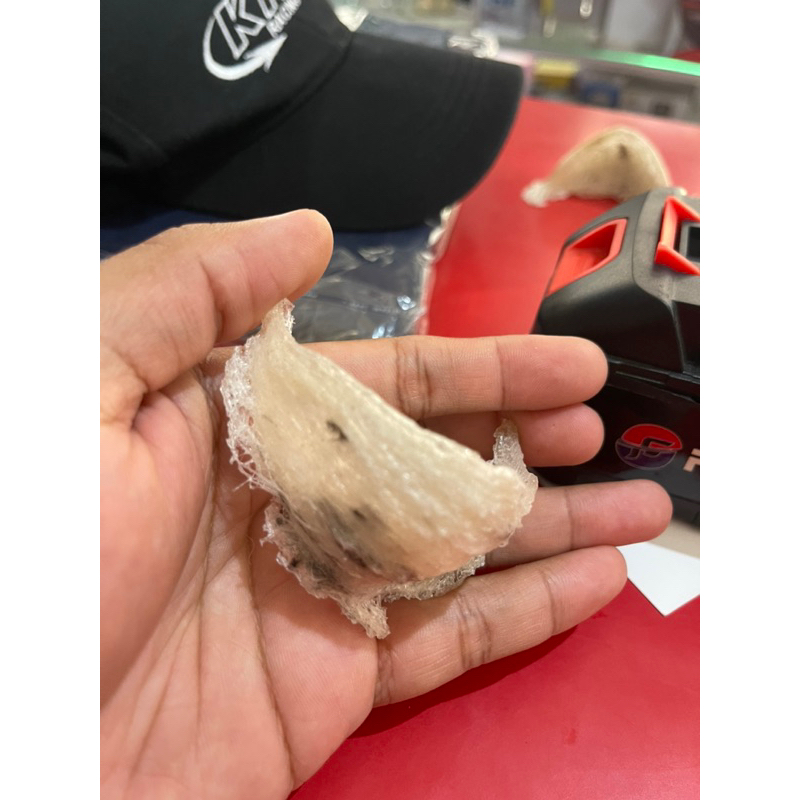 

Sarang Walet kotor / yenwo asli kalimantan.