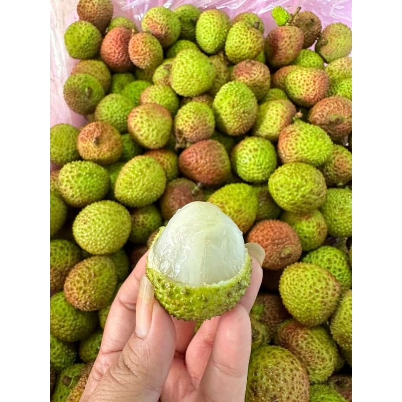 

lychee madu Hijau