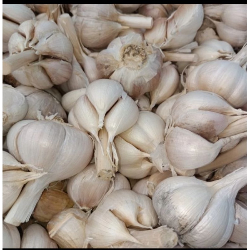 

bawang kating bersih 1kg