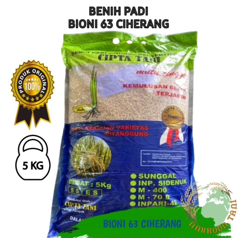 benih padi bioni 63 ciherang ( tahan wereng dan tahan kering )