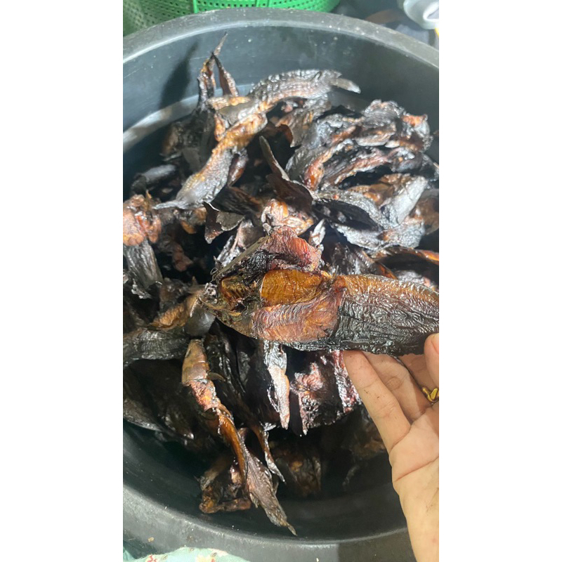 

ikan salai lele liar/kampung
