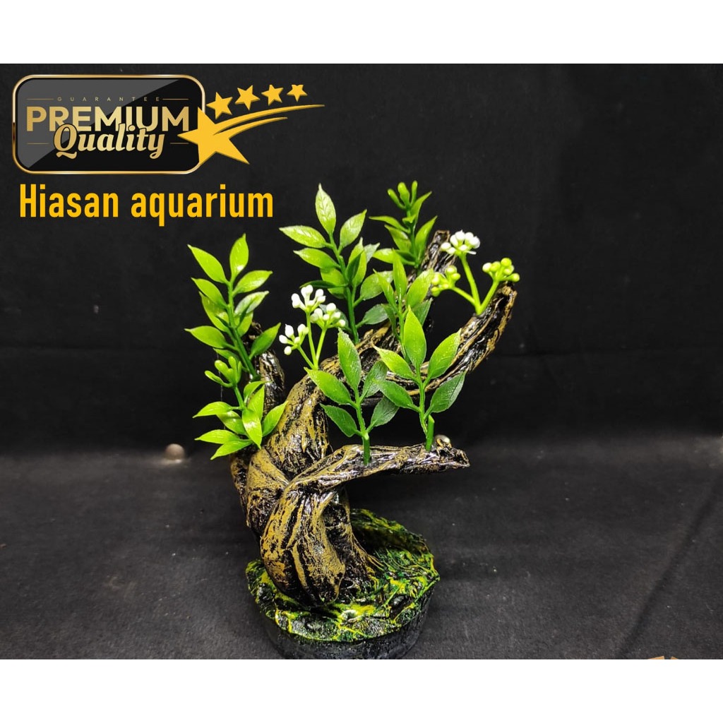 Hiasan aquarium bonsai Liau, bonsai liau aquarium, bonsai lux, hiasan aquarium bonsai, bonsai aquari