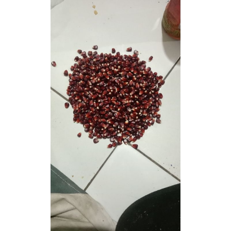 

Jagung mangis super 1kg