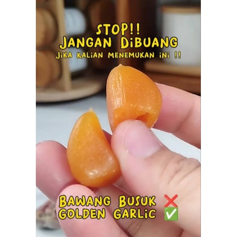 

500 gram Bawang Putih tua emas GOLDEN GARLIC, Langka, kaya manfaat Herbal
