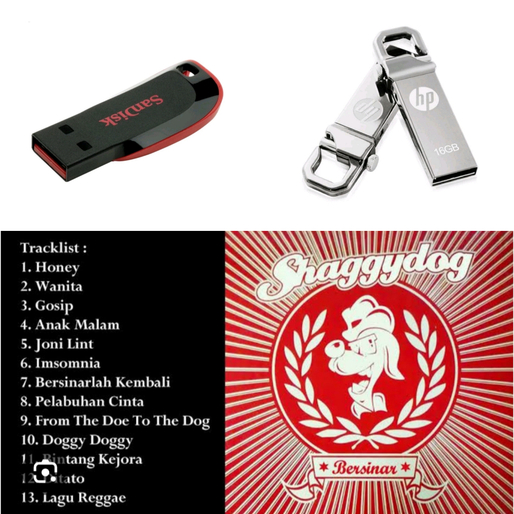 USB FLASHDISK Lagu Mp3/Mp4 Shaggy Dog Full Album Flashdisk USB