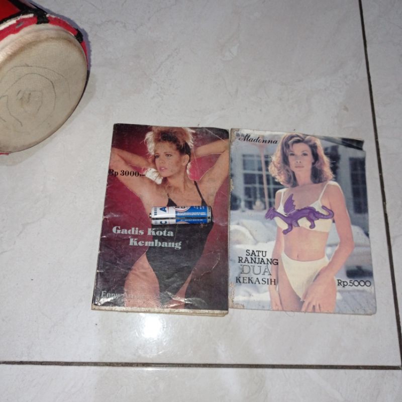 Novel Enny Arrow dan Madonna Buku Original