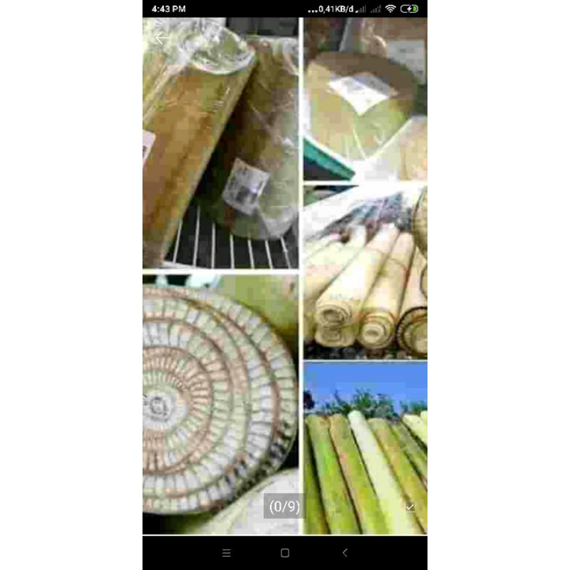 

batang pisang herbal