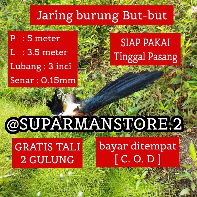 JARING BURUNG BUT-BUT 5 METER JARING BURUNG BUBUT 5M SIAP PAKAI JARING BURUNG BESAR 5 M REKOMENDASI 