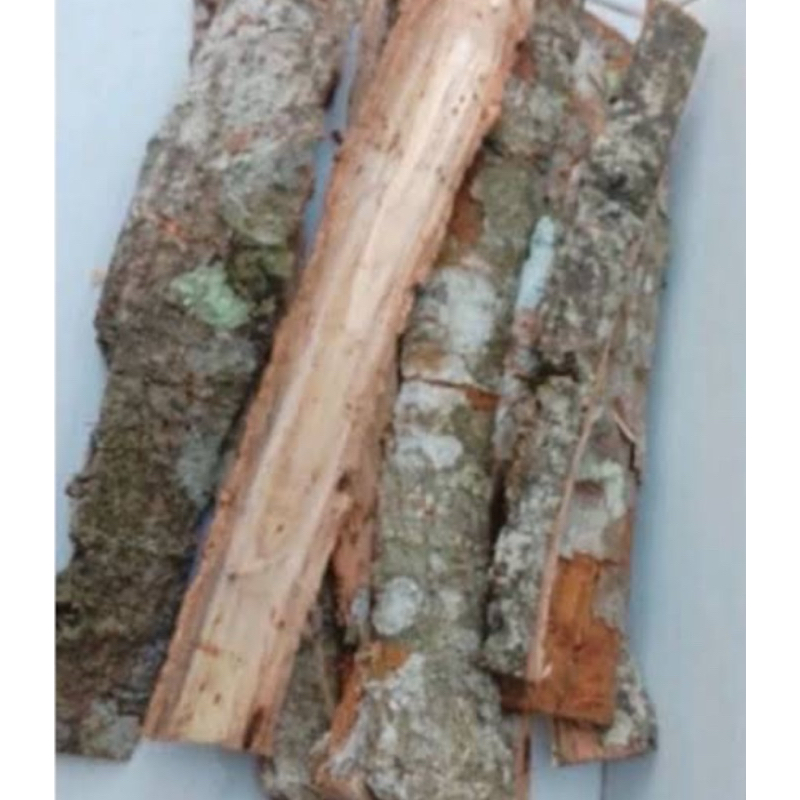 

Kulit pohon waru / kulit waru segar 1 kg-az