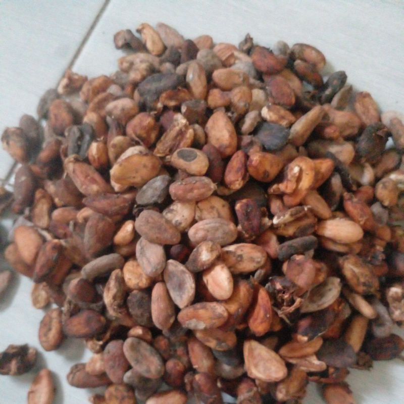 

Biji Kakao kering murah 500g, 1000g